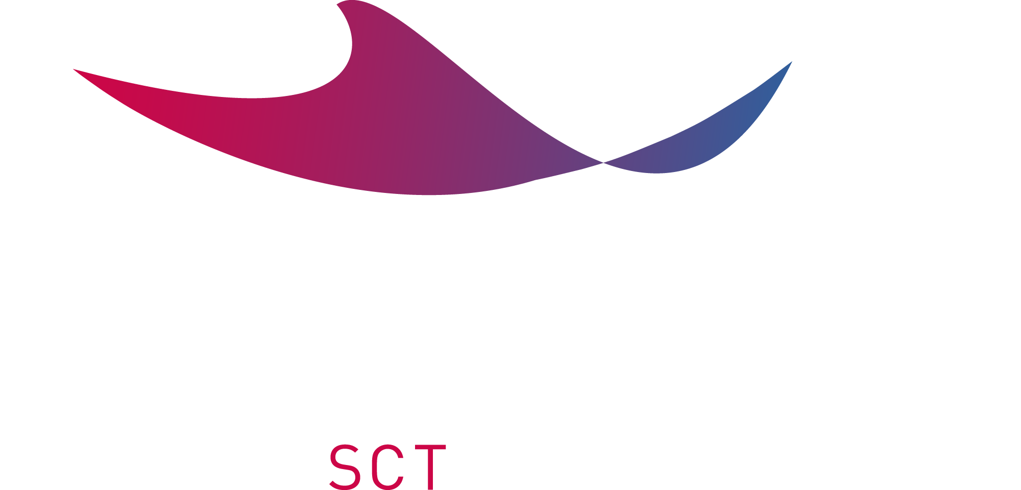 DISKOVER-Logo auf transparentem Untergrund mit weißer Schrift | © SCT GmbH